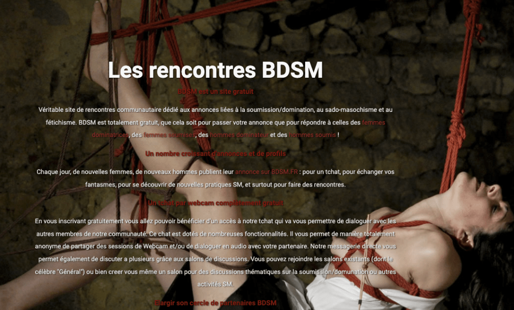 BDSM.fr